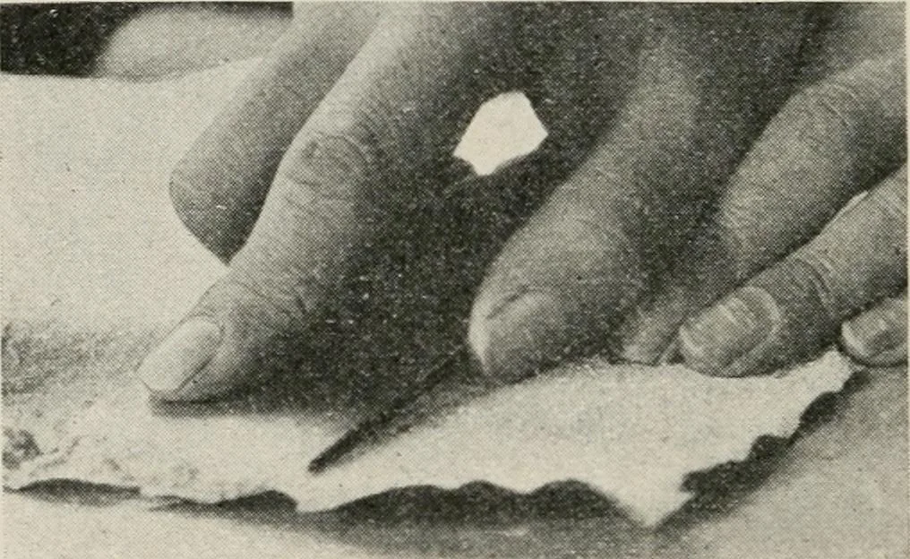 An illustration from Practical bookbinding : a text-book intended for those who take up the art of bookbinding, and designed to give sufficient help to enable handy persons to bind their books and periodicals, 1908, leaf 95