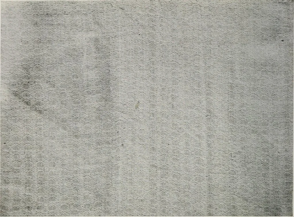 An illustration from The practical book of early American arts and crafts, 1916, leaf 357