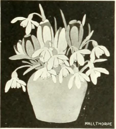 An illustration from The practical book of furnishing the small house and apartment, 1922, leaf 156