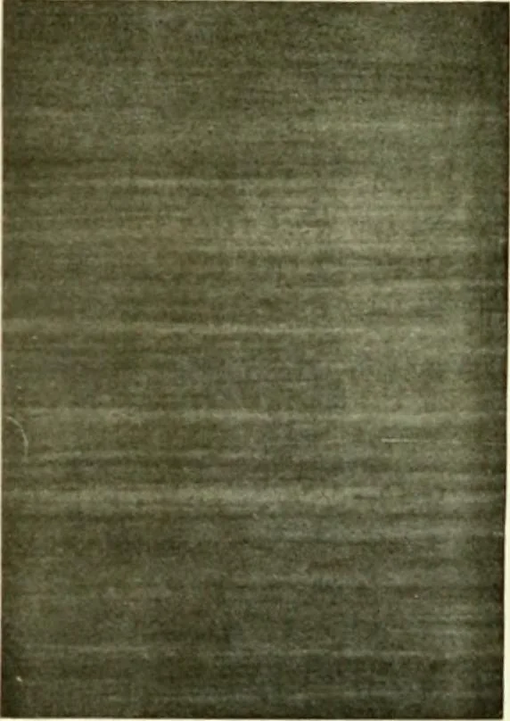 An illustration from The practical book of furnishing the small house and apartment, 1922, leaf 459