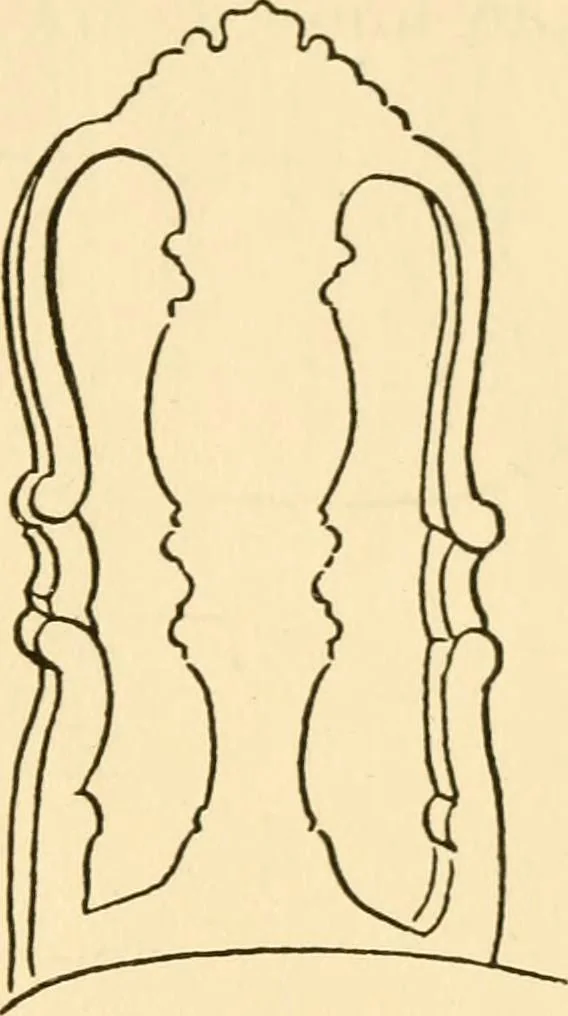 An illustration from The practical book of period furniture, treating of furniture of the English, American colonial and post-colonial and principal French periods, 1914, leaf 154