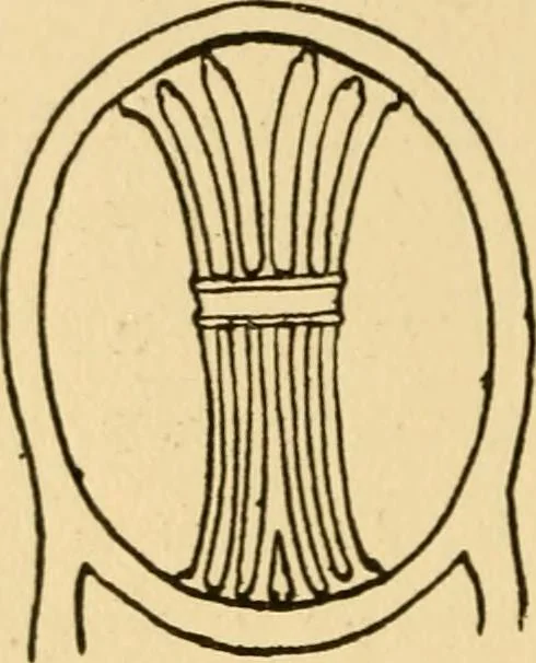 An illustration from The practical book of period furniture, treating of furniture of the English, American colonial and post-colonial and principal French periods, 1914, leaf 291
