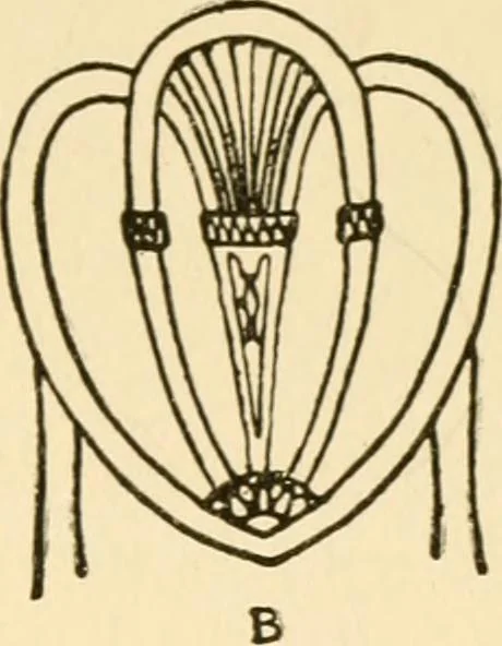 An illustration from The practical book of period furniture, treating of furniture of the English, American colonial and post-colonial and principal French periods, 1914, leaf 296