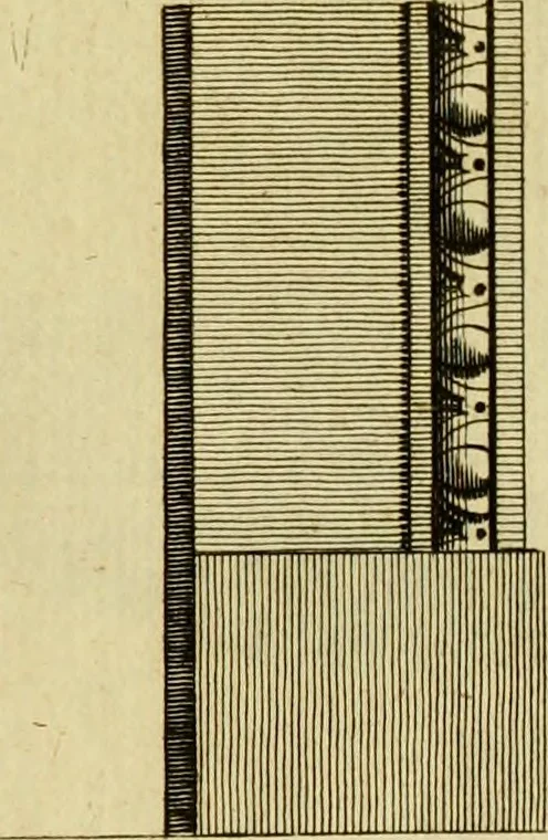 An illustration from Practical builder, or, Workman's general assistant, shewing the most approved and easy methods for drawing and working the whole or separate part of any building ... rules of carpentry ... the proportion of the five orders ... with plans and elevations of gentlemens and farm-houses, yards, barns,, 1774, leaf 104