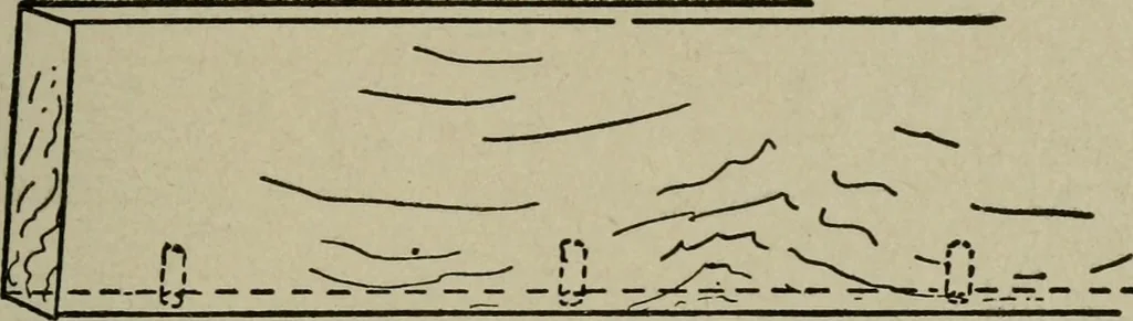 An illustration from The practical cabinet maker and furniture designer's assistant, with essays on history of furniture, taste in design, color and materials, with full explanation of the canons of good taste in furniture .., 1910, leaf 220
