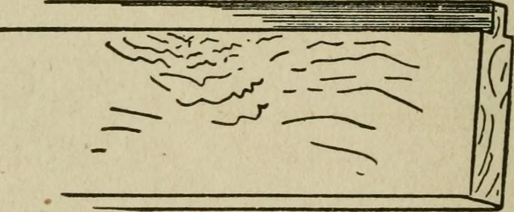 An illustration from The practical cabinet maker and furniture designer's assistant, with essays on history of furniture, taste in design, color and materials, with full explanation of the canons of good taste in furniture .., 1910, leaf 221