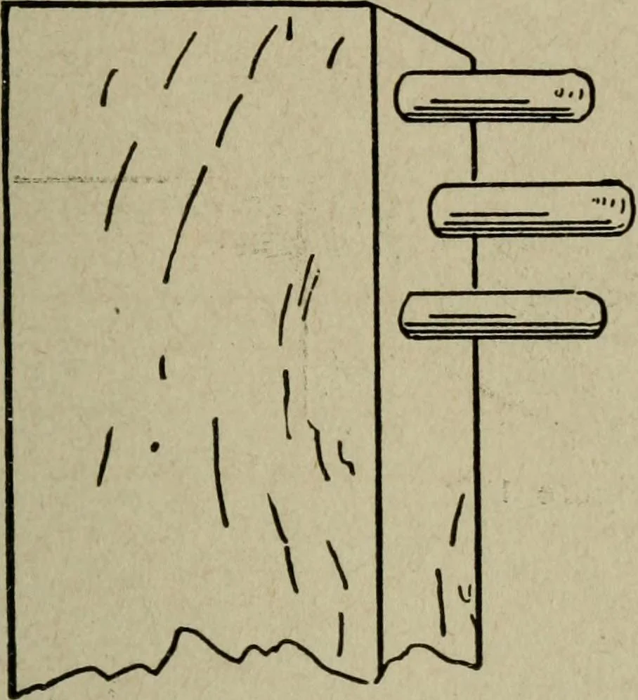 An illustration from The practical cabinet maker and furniture designer's assistant, with essays on history of furniture, taste in design, color and materials, with full explanation of the canons of good taste in furniture .., 1910, leaf 230