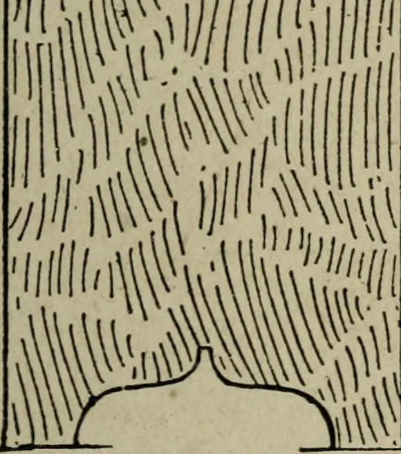 An illustration from The practical cabinet maker and furniture designer's assistant, with essays on history of furniture, taste in design, color and materials, with full explanation of the canons of good taste in furniture .., 1910, leaf 250