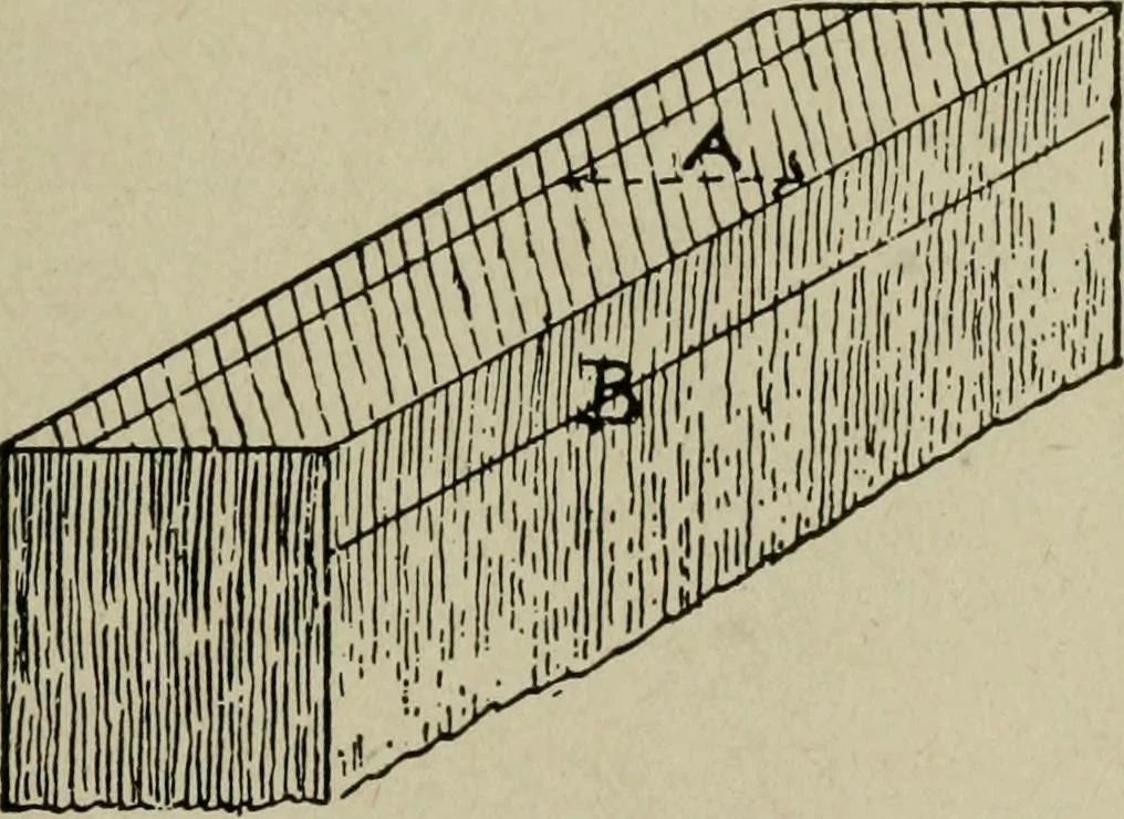 An illustration from The practical cabinet maker and furniture designer's assistant, with essays on history of furniture, taste in design, color and materials, with full explanation of the canons of good taste in furniture .., 1910, leaf 266