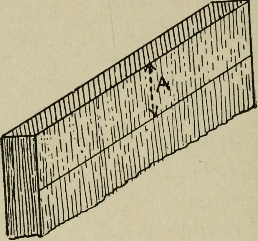 An illustration from The practical cabinet maker and furniture designer's assistant, with essays on history of furniture, taste in design, color and materials, with full explanation of the canons of good taste in furniture .., 1910, leaf 269