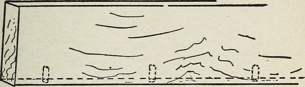 An illustration from The practical cabinet maker and furniture designer's assistant, with essays on history of furniture, taste in design, color and materials, with full explanation of the canons of good taste in furniture .., 1910, leaf 216