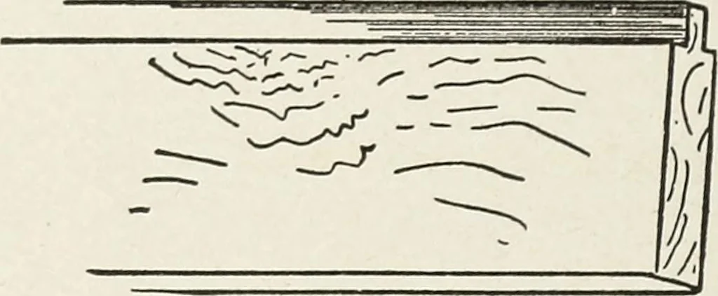 An illustration from The practical cabinet maker and furniture designer's assistant, with essays on history of furniture, taste in design, color and materials, with full explanation of the canons of good taste in furniture .., 1910, leaf 217