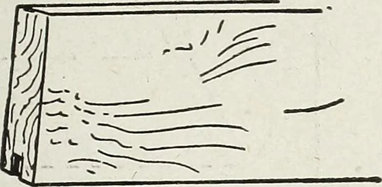 An illustration from The practical cabinet maker and furniture designer's assistant, with essays on history of furniture, taste in design, color and materials, with full explanation of the canons of good taste in furniture .., 1910, leaf 218