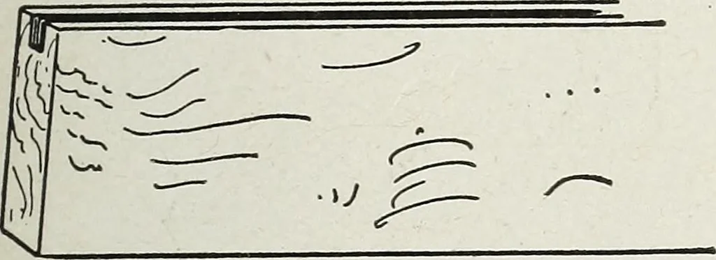 An illustration from The practical cabinet maker and furniture designer's assistant, with essays on history of furniture, taste in design, color and materials, with full explanation of the canons of good taste in furniture .., 1910, leaf 218