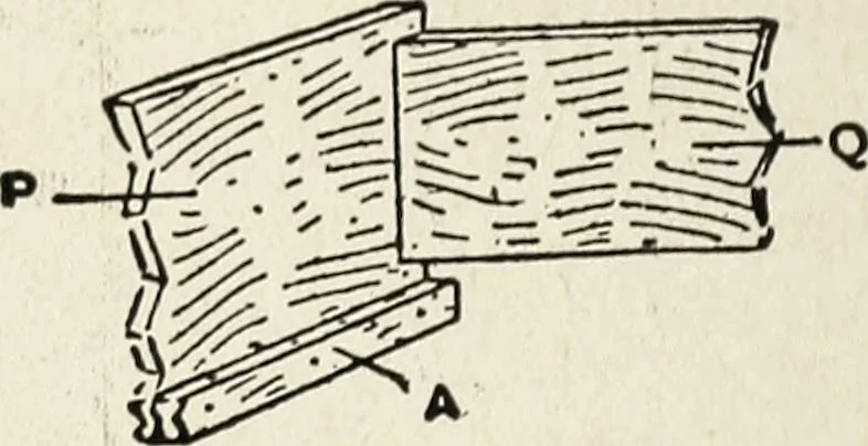 An illustration from The practical cabinet maker and furniture designer's assistant, with essays on history of furniture, taste in design, color and materials, with full explanation of the canons of good taste in furniture .., 1910, leaf 247