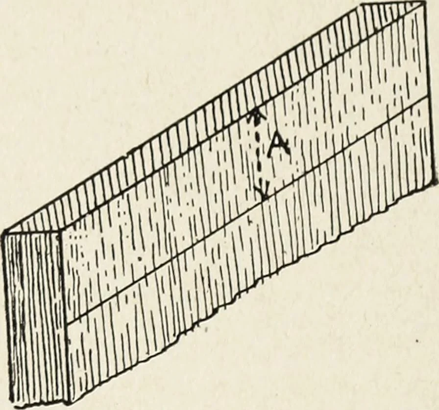 An illustration from The practical cabinet maker and furniture designer's assistant, with essays on history of furniture, taste in design, color and materials, with full explanation of the canons of good taste in furniture .., 1910, leaf 265