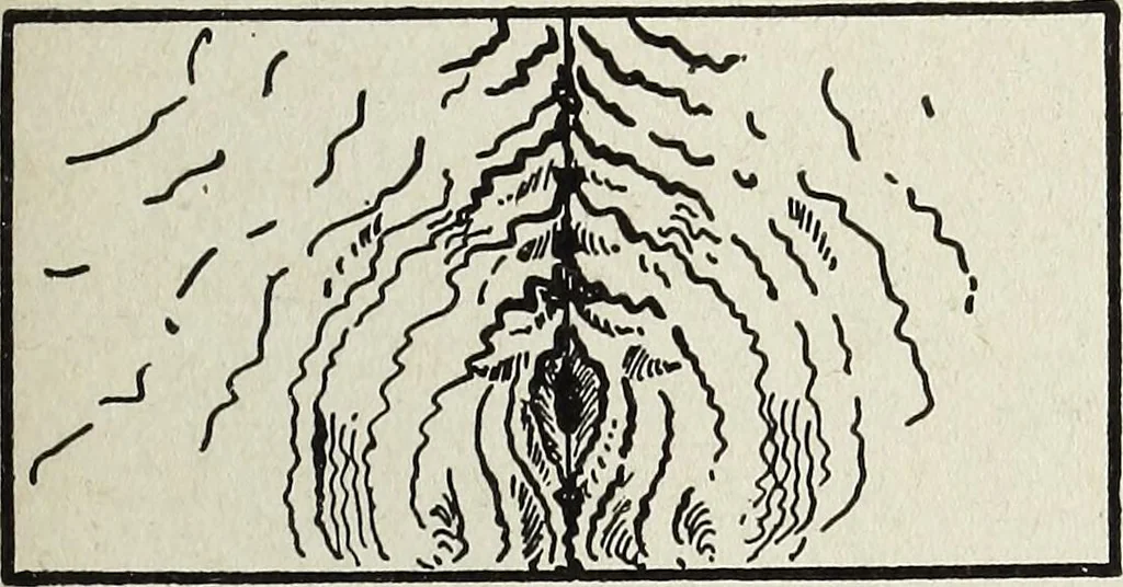 An illustration from The practical cabinet maker and furniture designer's assistant, with essays on history of furniture, taste in design, color and materials, with full explanation of the canons of good taste in furniture .., 1910, leaf 276