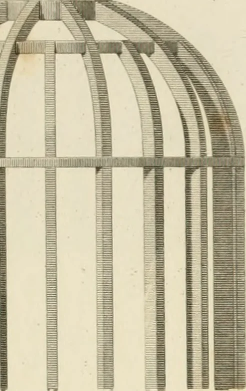 An illustration from Practical carpentry, joinery, and cabinet-making : being a new and complete system of lines for the use of workmen, founded on accurate geometrical and mechanical principles ... / by Peter Nicholson ; revised by Thomas Tredgold, 1853, leaf 328