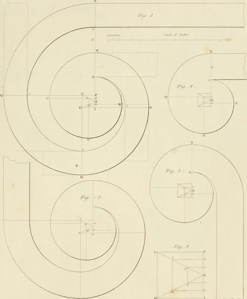 An illustration from Practical carpentry, joinery, and cabinet-making : being a new and complete system of lines for the use of workmen, founded on accurate geometrical and mechanical principles ... / by Peter Nicholson ; revised by Thomas Tredgold, 1853, leaf 446