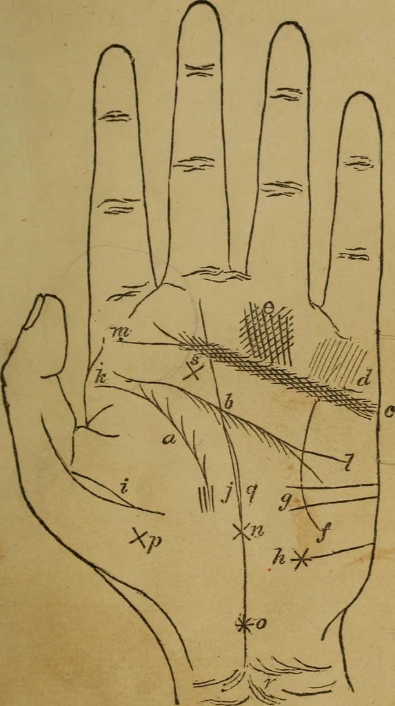An illustration from Practical cheirosophy, a synoptical study of the science of the hand, 1887, leaf 102