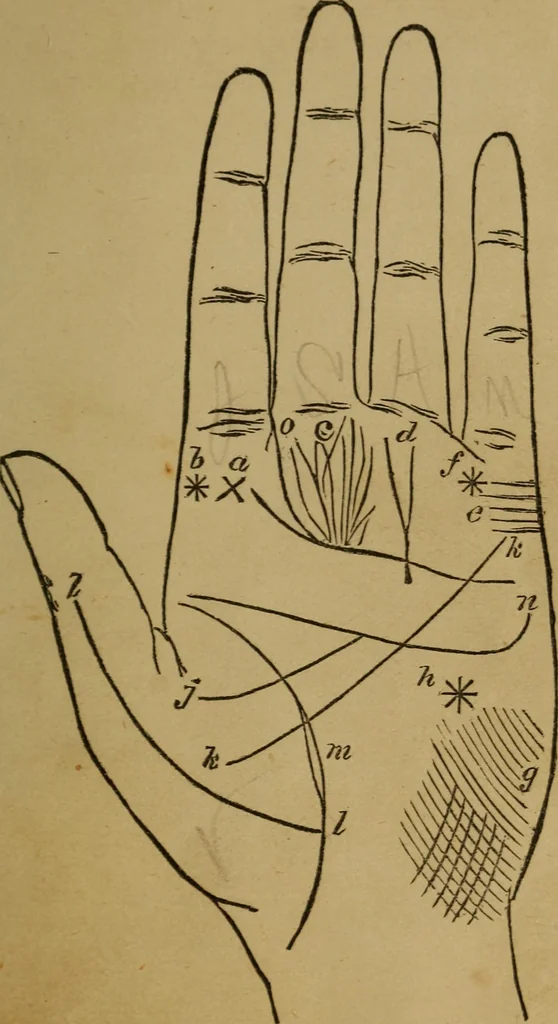 An illustration from Practical cheirosophy, a synoptical study of the science of the hand, 1887, leaf 106