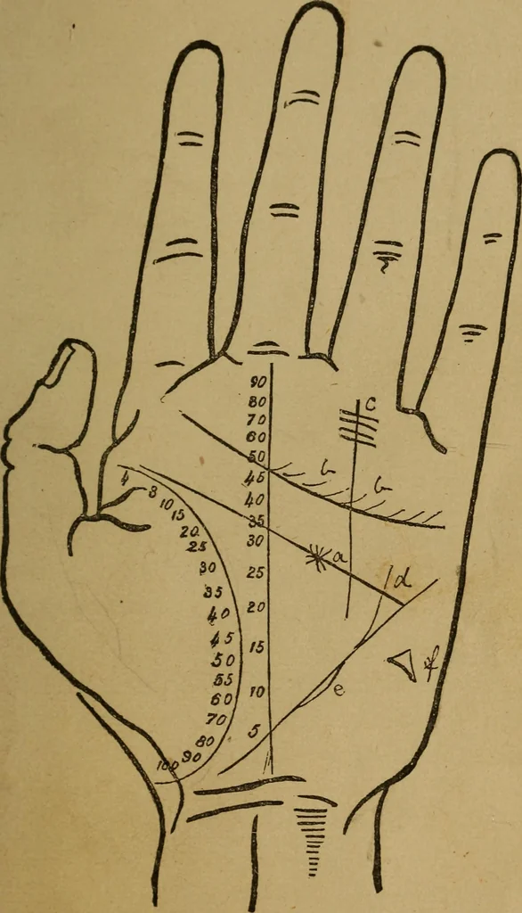 An illustration from Practical cheirosophy, a synoptical study of the science of the hand, 1887, leaf 112