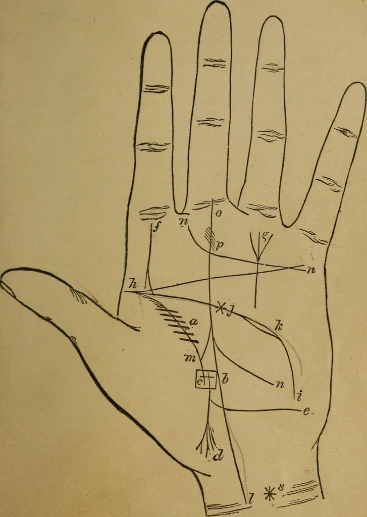 An illustration from Practical cheirosophy, a synoptical study of the science of the hand, 1887, leaf 116