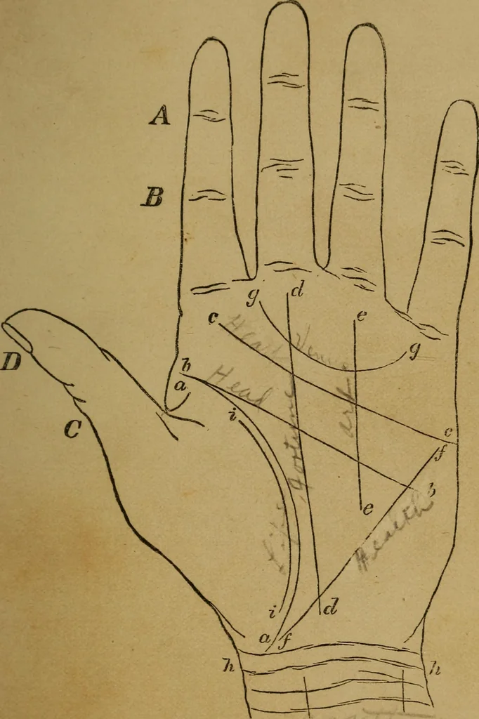 An illustration from Practical cheirosophy, a synoptical study of the science of the hand, 1887, leaf 56
