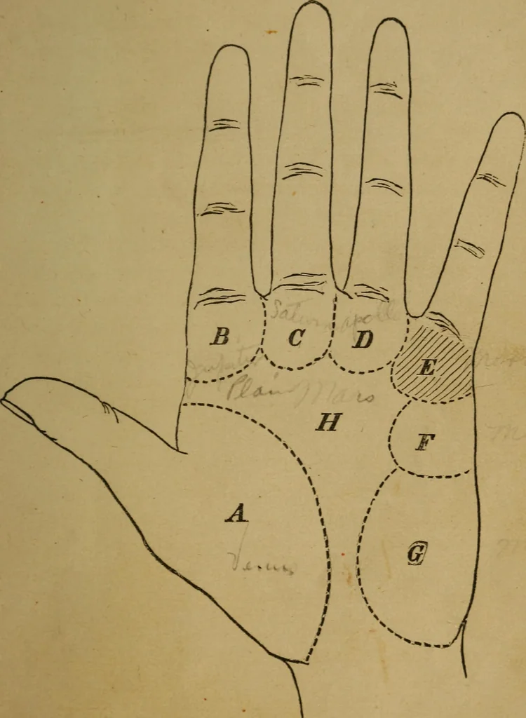 An illustration from Practical cheirosophy, a synoptical study of the science of the hand, 1887, leaf 98