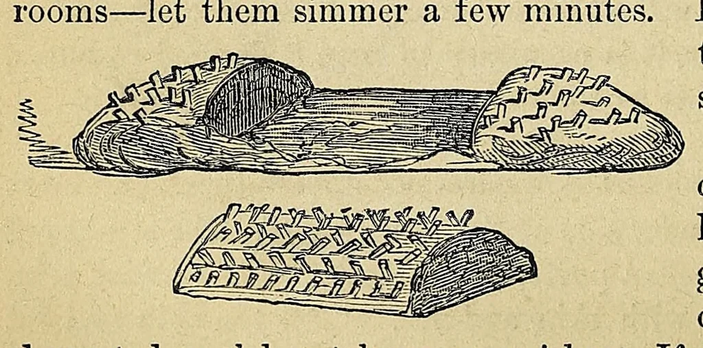 An illustration from Practical cooking and dinner giving : a treatise containing practical instructions in cooking, in the combination and serving of dishes, and in the fashionable modes of entertaining at breakfast, lunch, and dinner, 1877, leaf 134