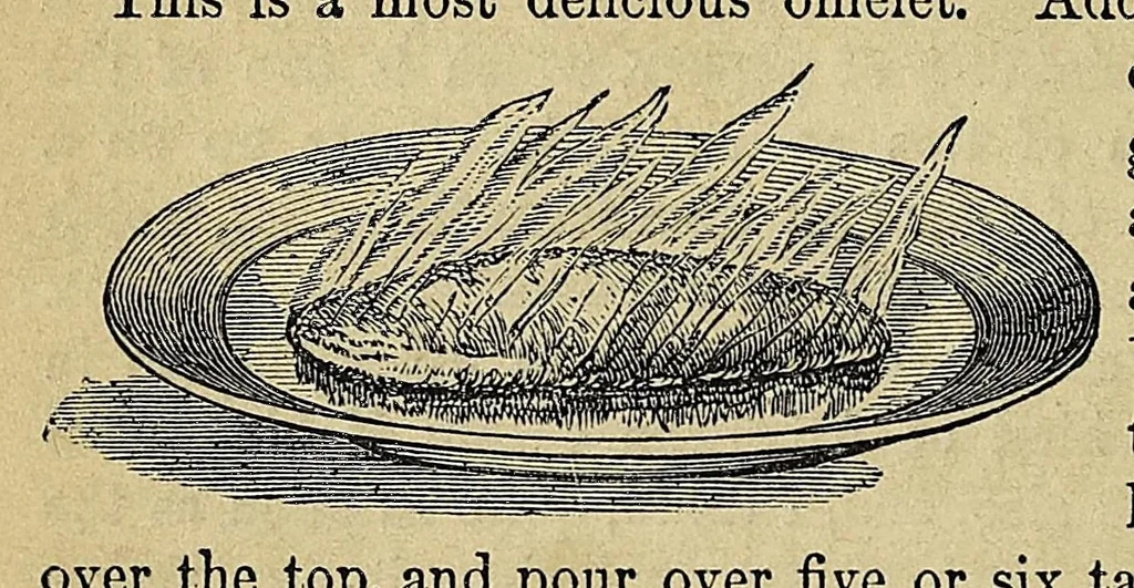 An illustration from Practical cooking and dinner giving : a treatise containing practical instructions in cooking, in the combination and serving of dishes, and in the fashionable modes of entertaining at breakfast, lunch, and dinner, 1877, leaf 218