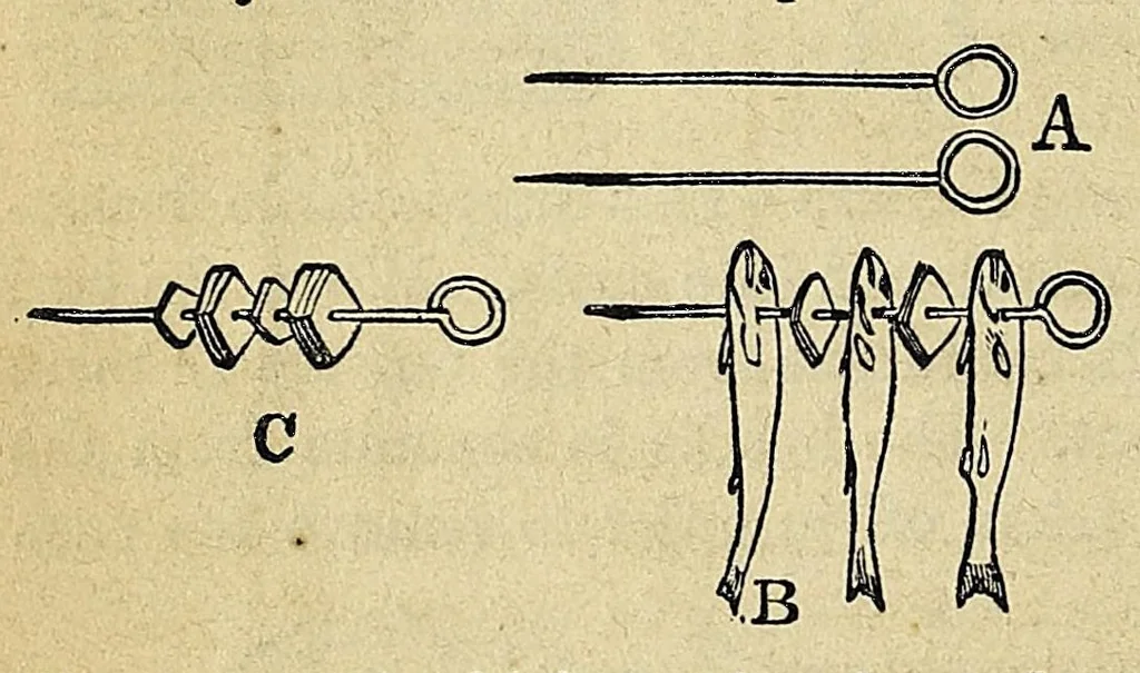 An illustration from Practical cooking and dinner giving : a treatise containing practical instructions in cooking, in the combination and serving of dishes, and in the fashionable modes of entertaining at breakfast, lunch, and dinner, 1877, leaf 56