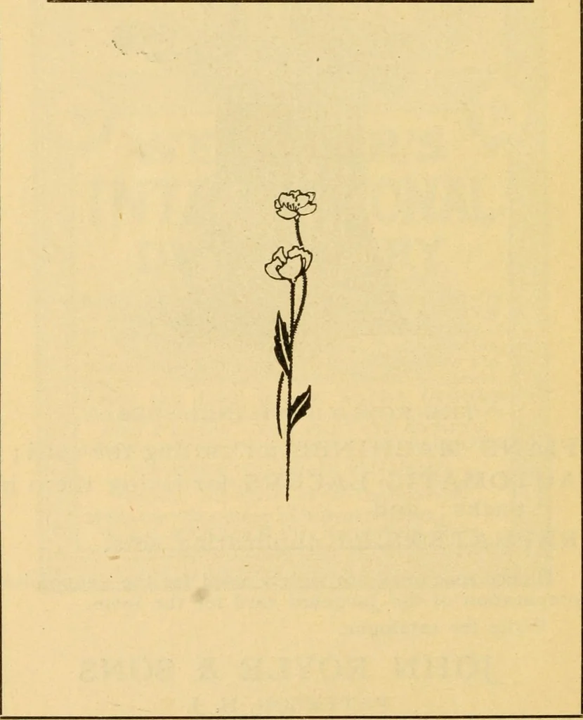 An illustration from Practical cotton calculations; a treatise relating to cotton yarn, cloth structure, loom and miscellaneous cotton mill calculations, 1907, leaf 139