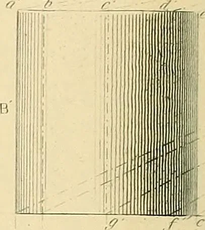 An illustration from The practical draughtsman's book of industrial design, and machinist's and engineer's drawing companion; forming a complete course of mechanical, engineering, and architectural drawing, 1871, leaf 463