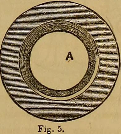 An illustration from The practical draughtsman's book of industrial design, and machinist's and engineer's drawing companion: forming a complete course of mechanical, engineering, and architectural drawing., 1857, leaf 176