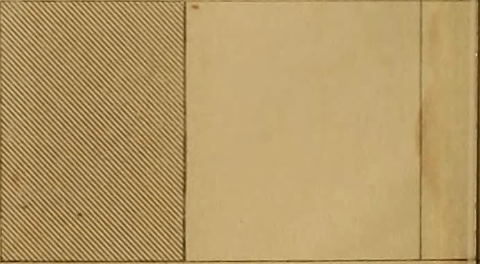 An illustration from The practical draughtsman's book of industrial design, and machinist's and engineer's drawing companion: forming a complete course of mechanical, engineering, and architectural drawing., 1857, leaf 237