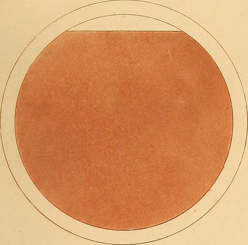 An illustration from The practical draughtsman's book of industrial design and machinist's and engineer's drawing companion : forming a complete course of mechanical, engineering, and architectural drawing, 1863, leaf 244