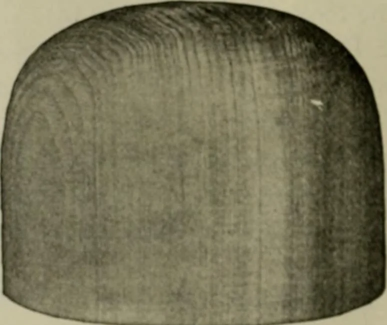 An illustration from Practical dry cleaner, scourer and garment dyer, comprising dry, chemical or French cleaning : purification of benzine, removal of stains or spotting, wet cleaning, including the cleaning of Palm Beach suits and other summer fabrics, 1919, leaf 297