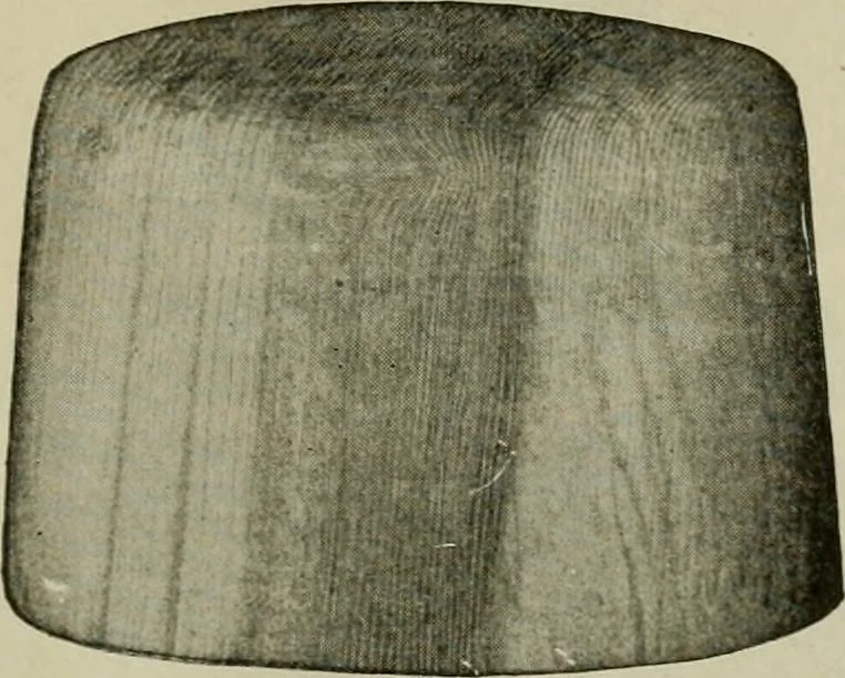 An illustration from Practical dry cleaner, scourer and garment dyer, comprising dry, chemical or French cleaning : purification of benzine, removal of stains or spotting, wet cleaning, including the cleaning of Palm Beach suits and other summer fabrics, 1919, leaf 298
