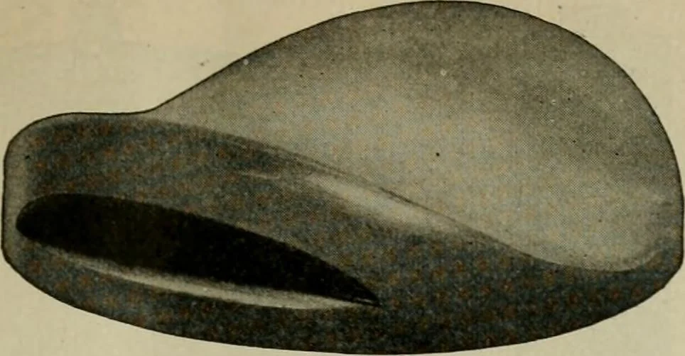 An illustration from Practical dry cleaner, scourer and garment dyer, comprising dry, chemical or French cleaning : purification of benzine, removal of stains or spotting, wet cleaning, including the cleaning of Palm Beach suits and other summer fabrics, 1919, leaf 300