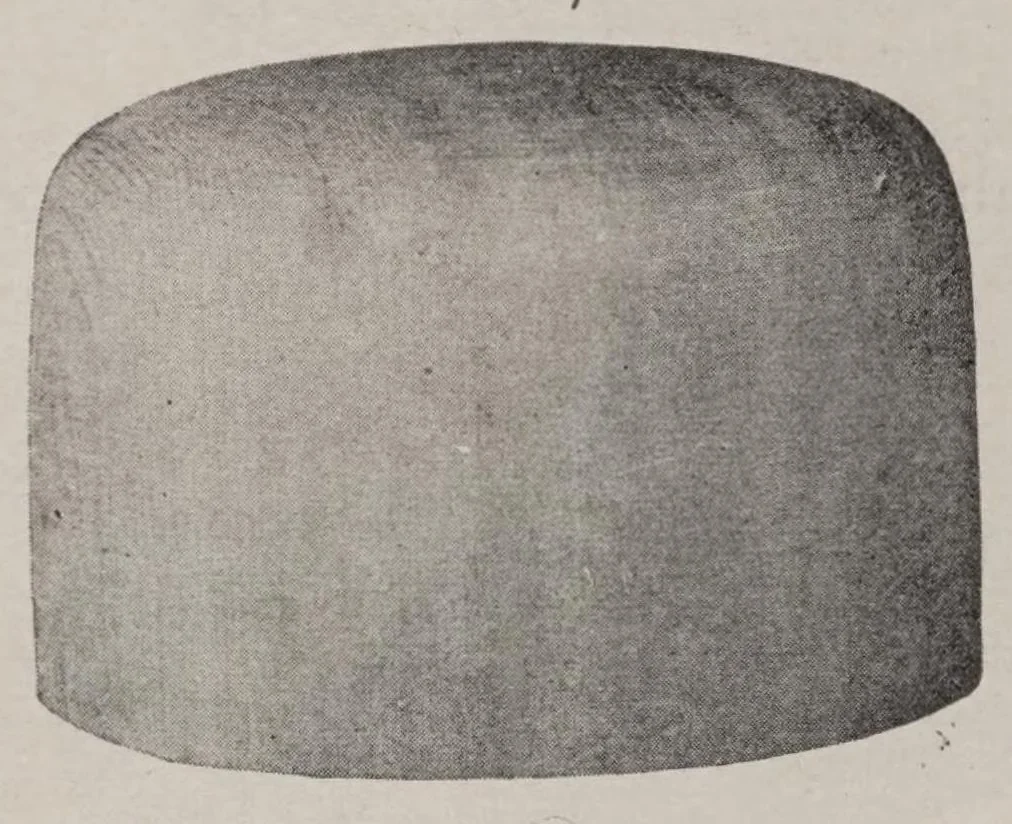 An illustration from The practical dry cleaner, scourer, and garment dyer: comprising dry, chemical, or French cleaning; purification of benzine; removal of stains, or spotting; wet cleaning; finishing cleaned fabrics; cleaning and dyeing furs, skin rugs and mats; cleaning and dyeing feathers; cleaning and renovating felt, straw and panama hats; bleaching and dyeing straw and straw hats; cleaning and dyeing gloves; garment dyeing; stripping; analysis of textile fabrics, 1911, leaf 291