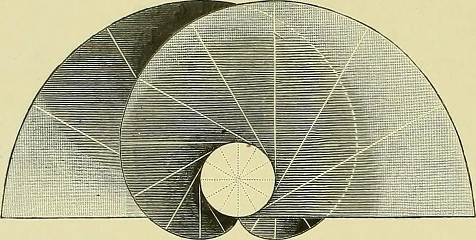 An illustration from Practical engineering drawing and third angle projection, for students in scientific, technical and manual training schools and for ... draughtsmen .., 1897, leaf 137