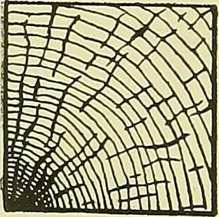 An illustration from Practical engineering drawing and third angle projection, for students in scientific, technical and manual training schools and for ... draughtsmen .., 1897, leaf 31