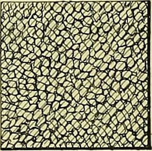 An illustration from Practical engineering drawing and third angle projection, for students in scientific, technical and manual training schools and for ... draughtsmen .., 1897, leaf 93