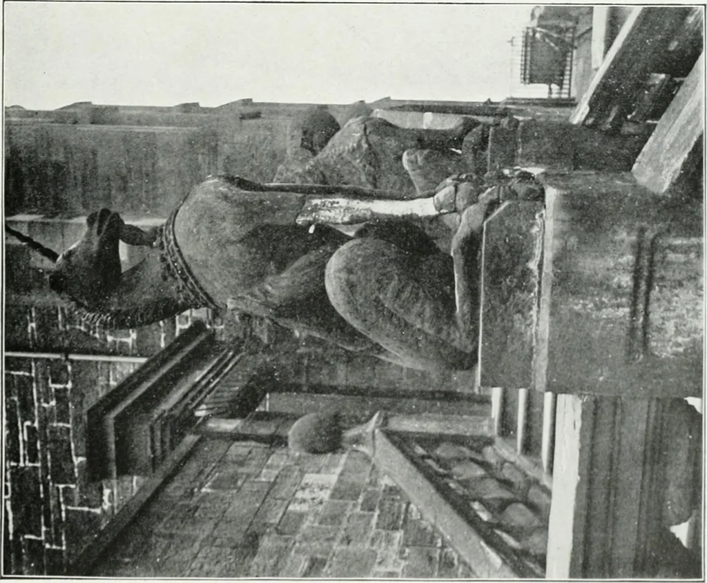 An illustration from The practical exemplar of architecture, 1907, leaf 82