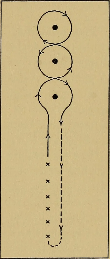 An illustration from A practical hand-book of games, 1922, leaf 100
