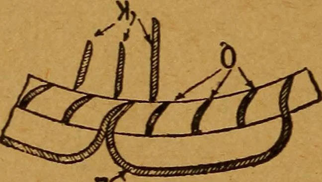 An illustration from Practical hand book of gas, oil and steam engines, stationary, marine, traction; gas burners, oil burners, etc.; farm, traction, automobile, locomotive; a simple, practical and comprehensive book on the construction, operation and repair of all kinds of engines, 1916, leaf 157