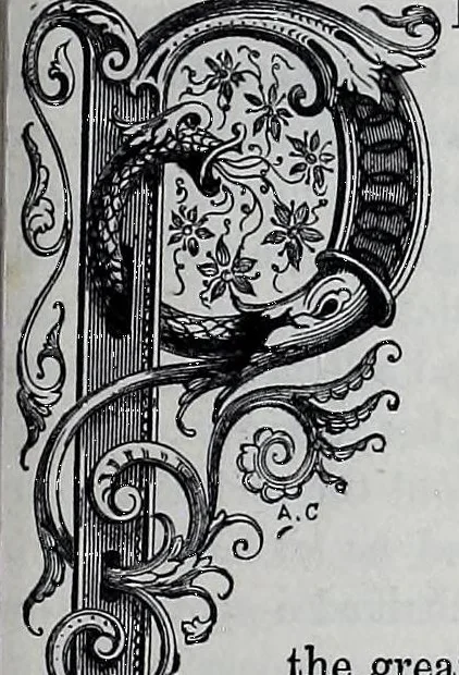 An illustration from Practical house decoration : a guide to the art of ornamental painting, the arrangement of colours in apartments and the principles of decorative design : with some remarks upon the nature and properties of pigments, 1886, leaf 157