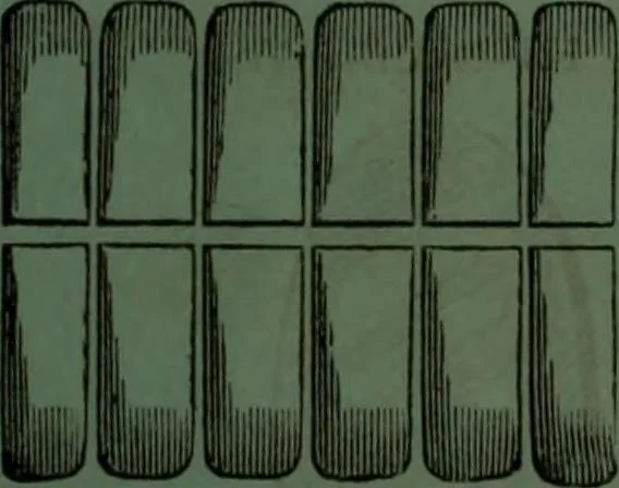 An illustration from Practical instructions in enamel painting on glass, china, tiles, etc., : to which is added full instructions for the manufacture of the vitreous pigments required, with twelve pages of instructions, 1874, leaf 132