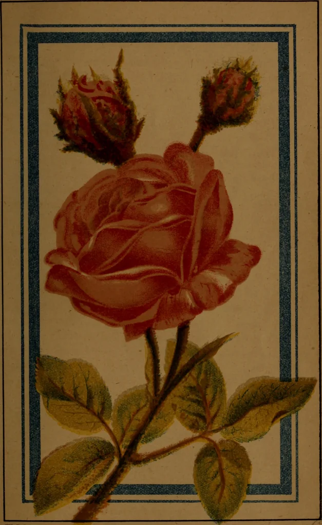 An illustration from Practical instructions in enamel painting on glass, china, tiles, etc., : to which is added full instructions for the manufacture of the vitreous pigments required, with twelve pages of instructions, 1874, leaf 74
